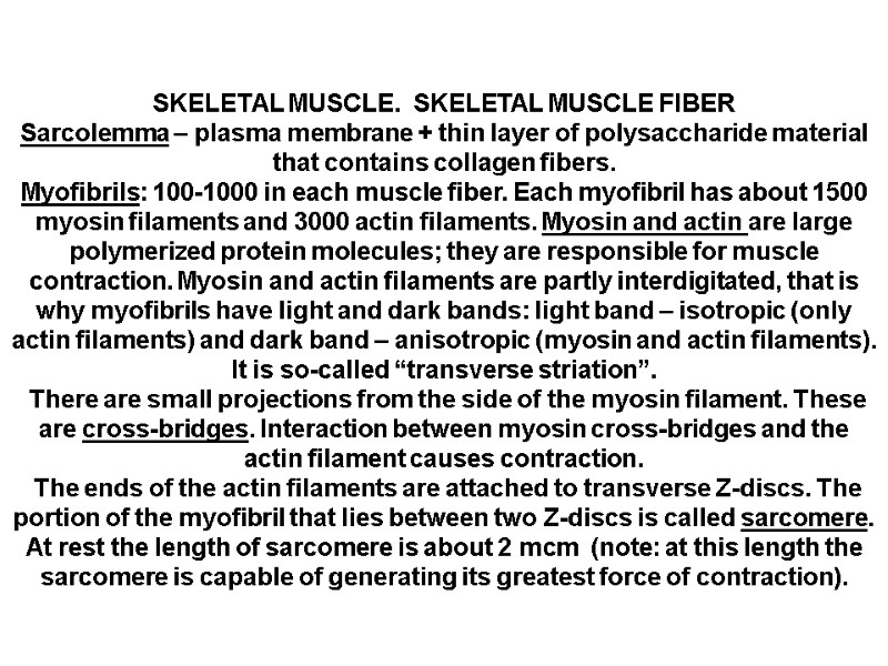SKELETAL MUSCLE.  SKELETAL MUSCLE FIBER Sarcolemma – plasma membrane + thin layer of